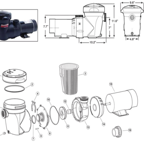 Hayward Strainer O-Ring for PowerFlo Matrix Pump SPX5500K