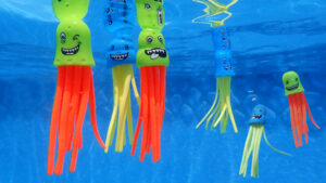 Jellyfish