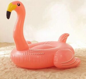 Flamingo Float