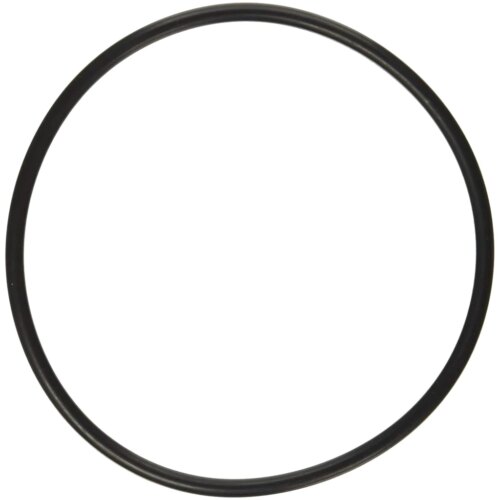 Hayward Pump Power Flo II Strainer Lid Cover O-Ring SPX8100S