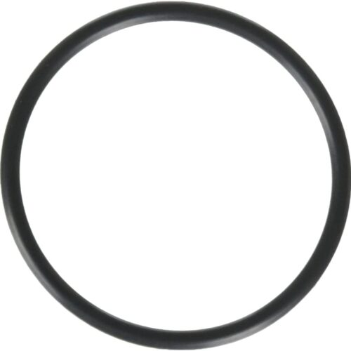 Hayward SPX1495Z1 Union Connector O-Ring